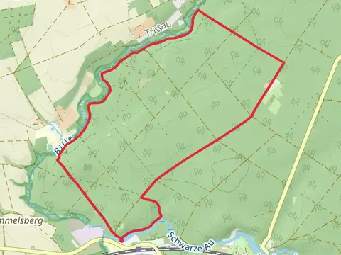 Schwarze Au via Sachsenwald Wanderweg and Stormarnweg