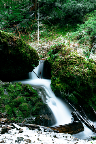 Goat Falls Trail