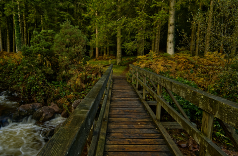 Glengarra - Loop Walk