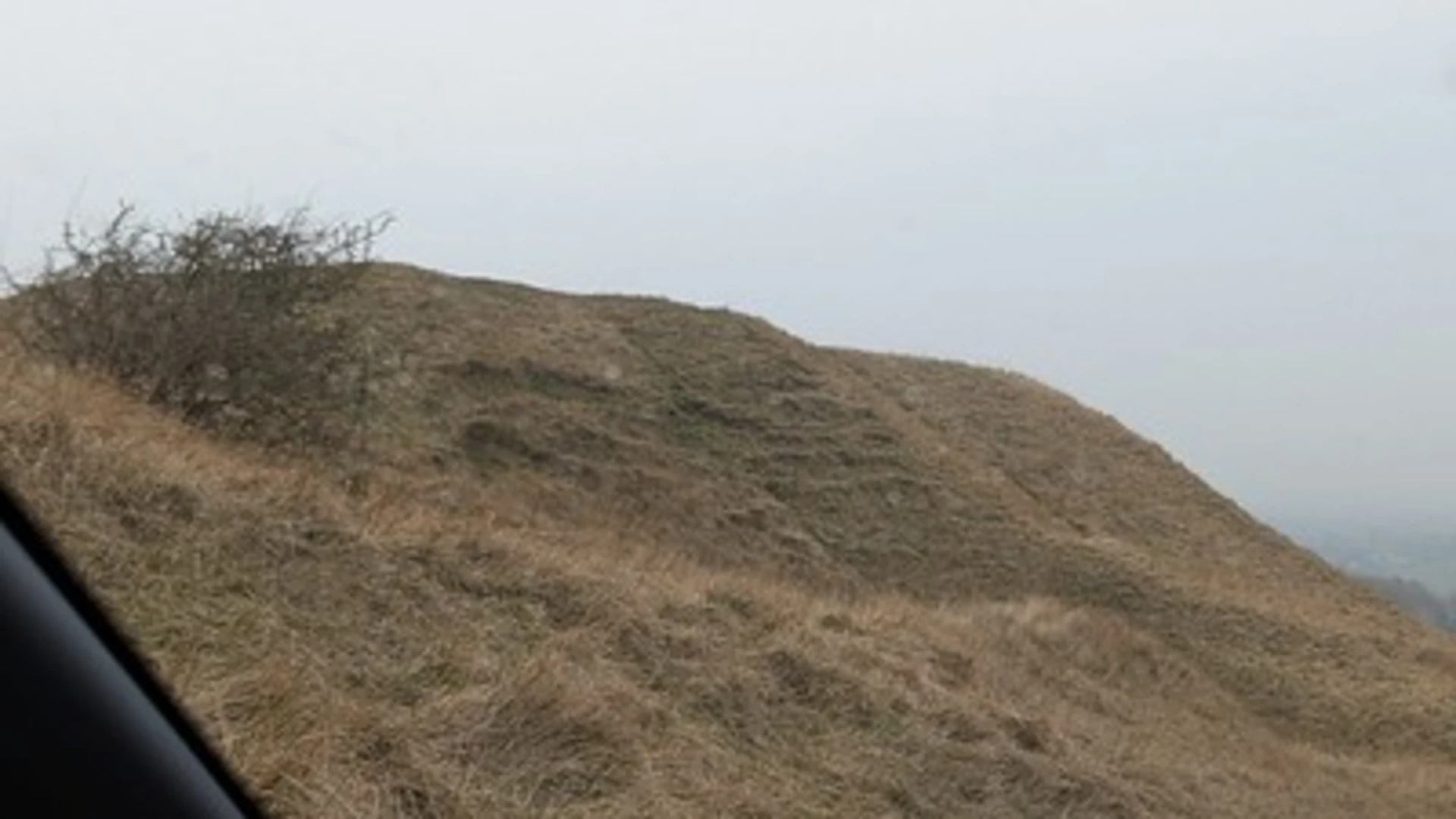 An image depicting the trail White Horse and Dragon Hill Loop and its surrounding area.