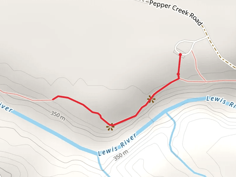 Curly - Miller Falls Trail