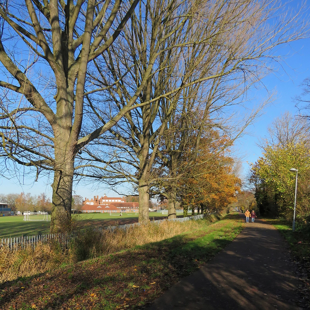 An image depicting the trail Sandringham Railway Path and its surrounding area.