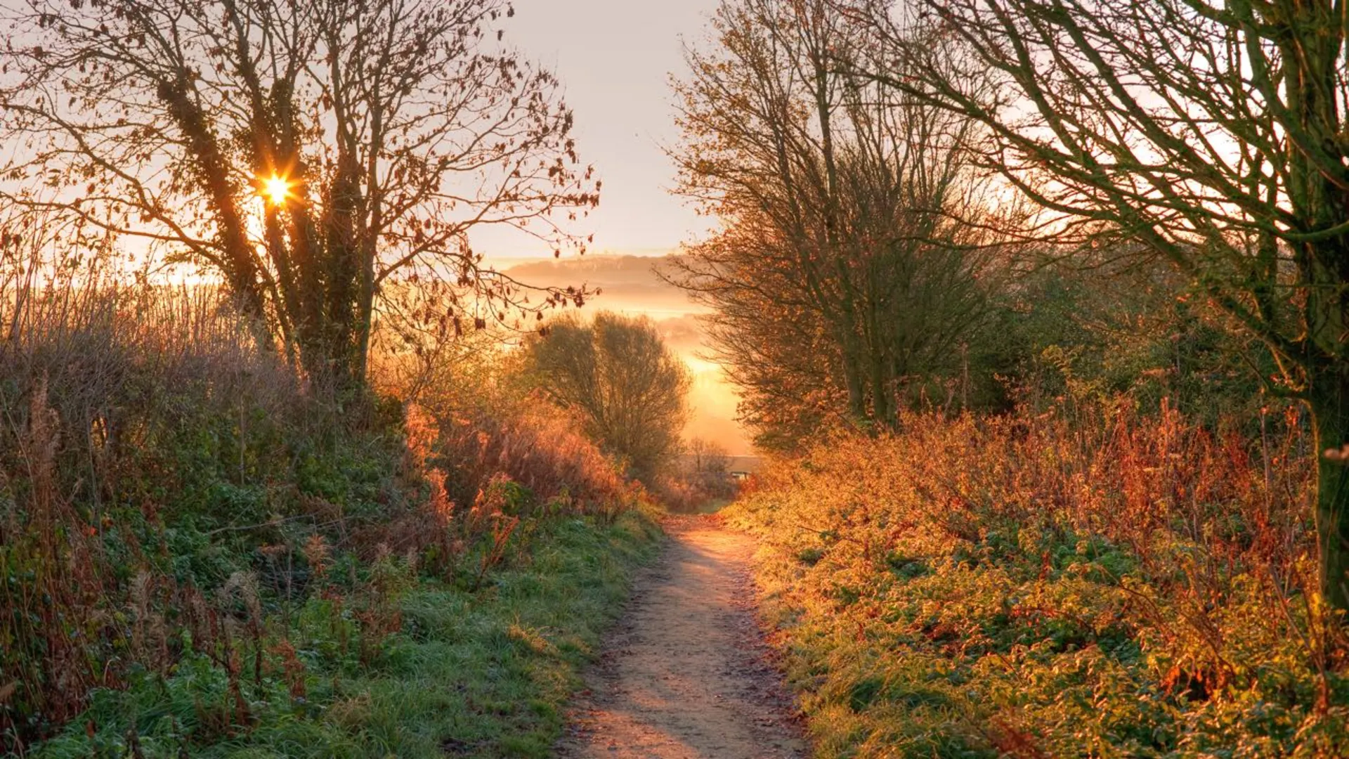 An image depicting the trail Cotswold Way and its surrounding area.