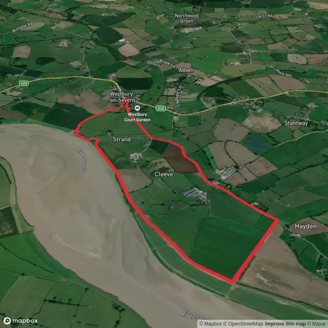 An image depicting the trail Rodley Loop - short and its surrounding area.