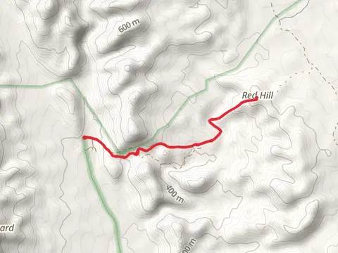 Red Hill Lookout Hike