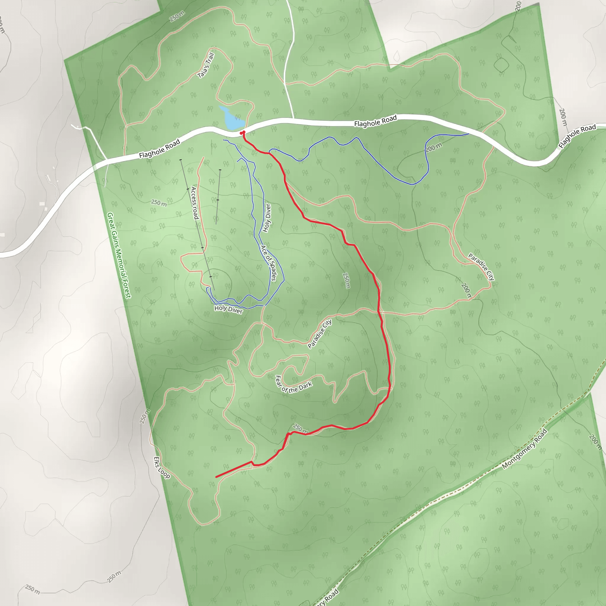 Flaghole Road Out and Back mobile static map
