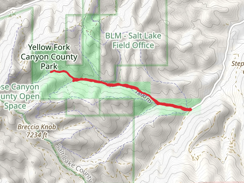 Yellow Fork Trail