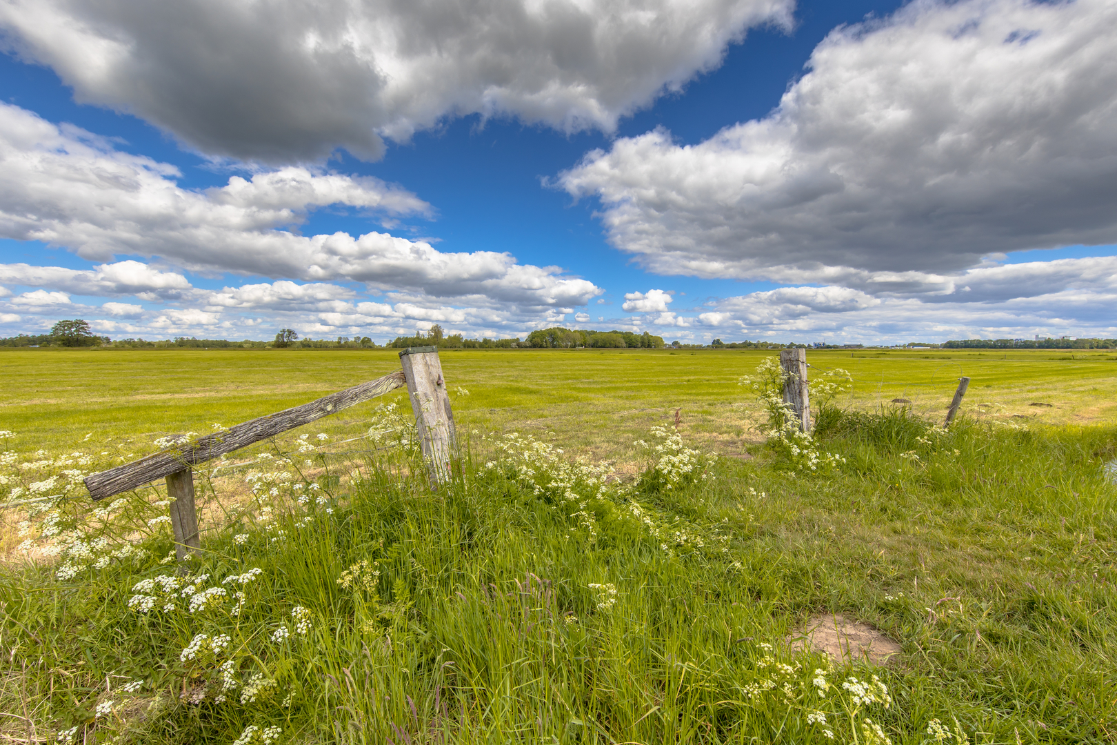 An image depicting the trail Westerborkpad and Vlakken Weg and its surrounding area.