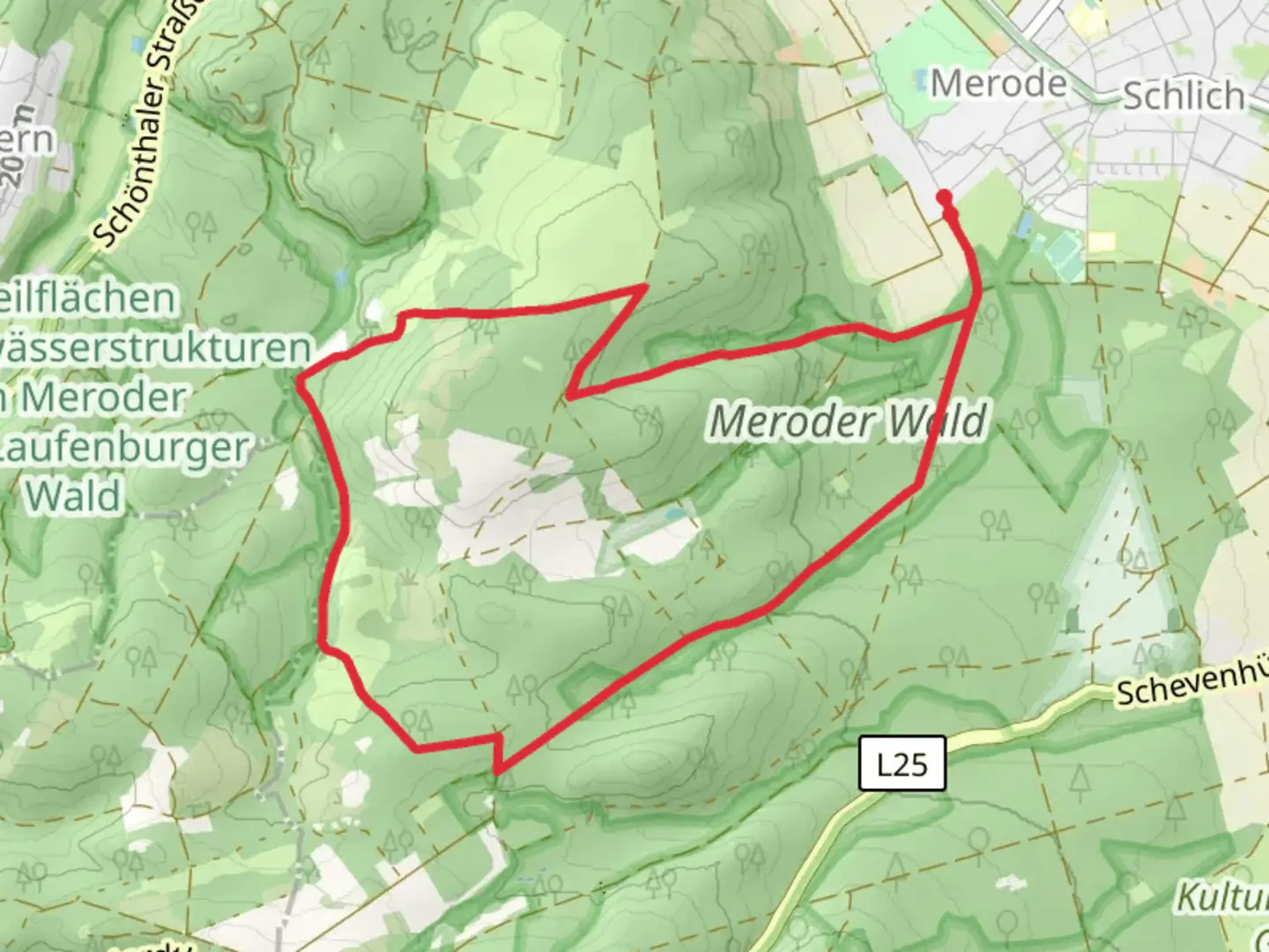 An image depicting the trail Schlich Rundweg 71 and its surrounding area.