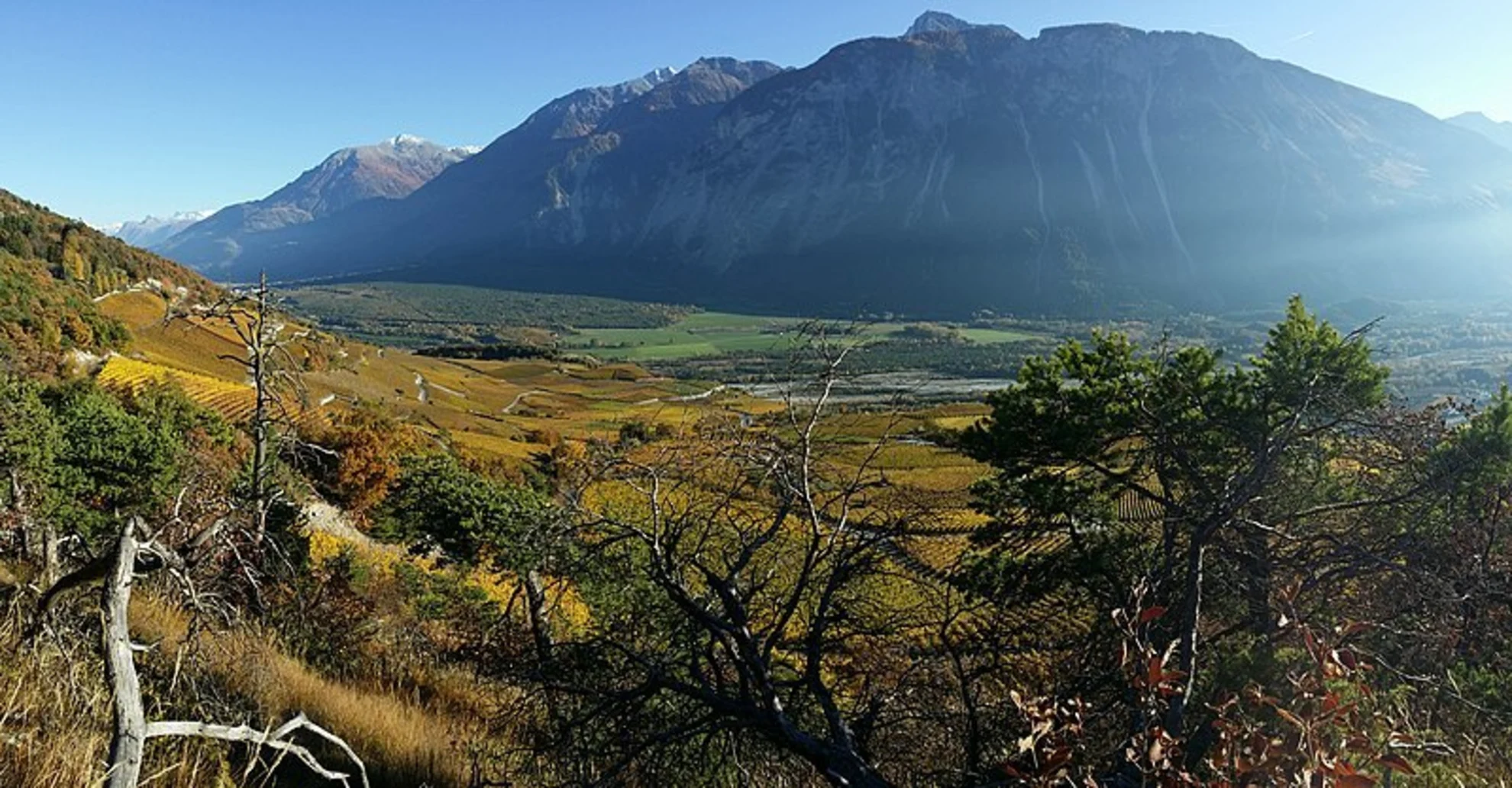 An image depicting the trail Vineyard Trail between Salgesch and Sierre and its surrounding area.
