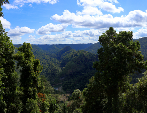 North Johnstone Lookout Walk