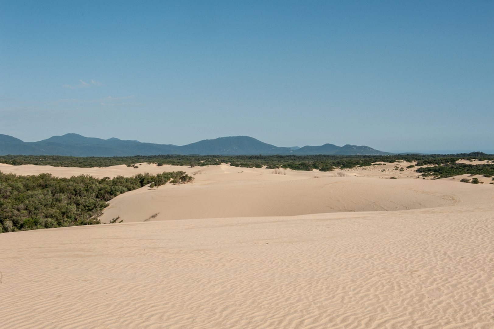 An image depicting the trail Big Drift Walk and its surrounding area.