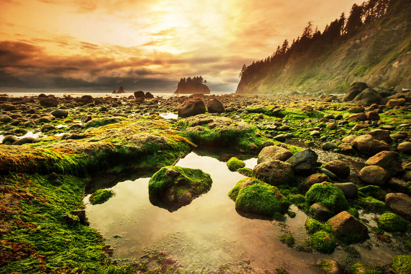 An image depicting the trail PNWT - The Pacific Coast Olympic Wilderness and its surrounding area.