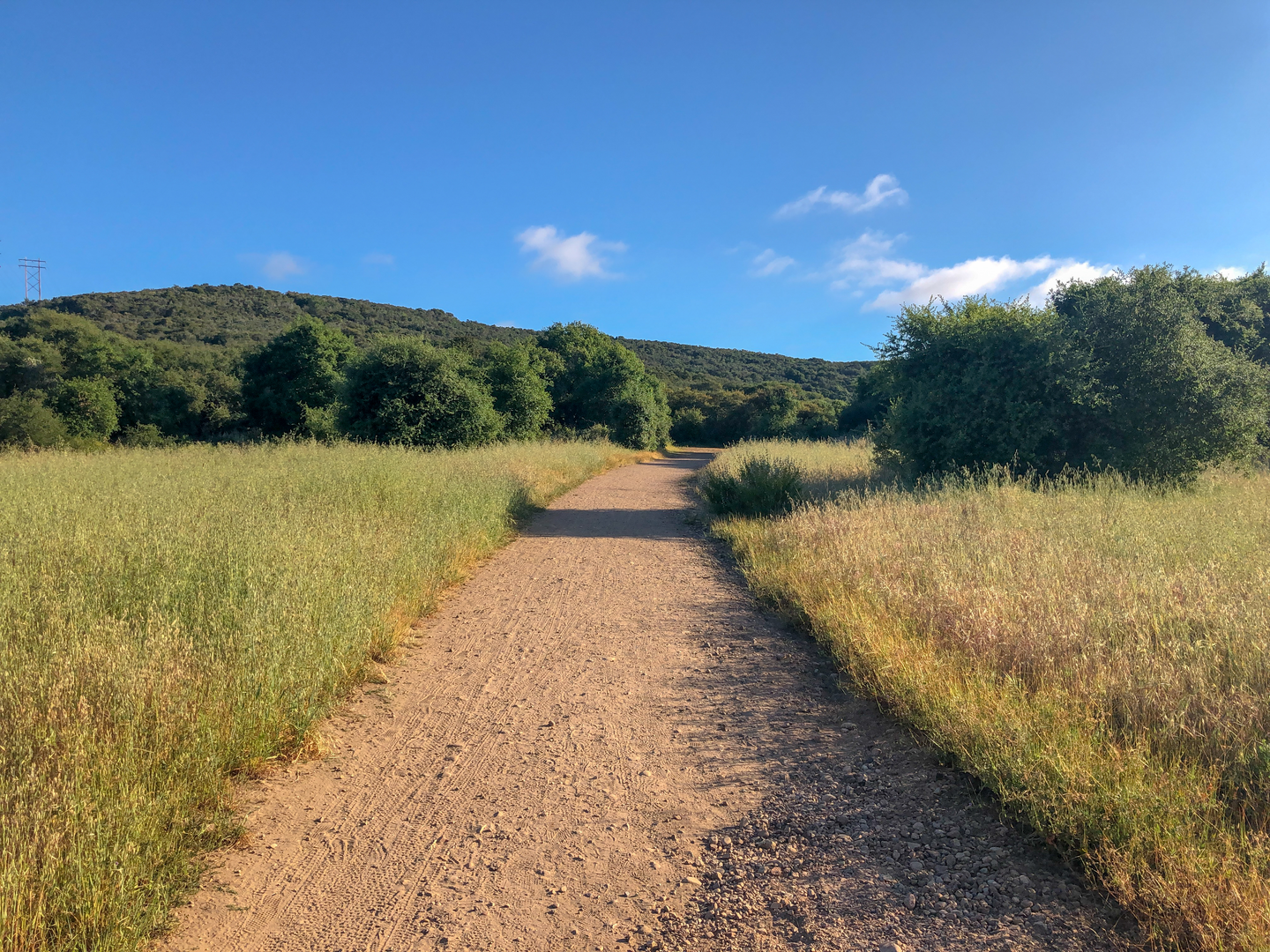 An image depicting the trail Camino Ruiz Trail and Cobbles Loop and its surrounding area.
