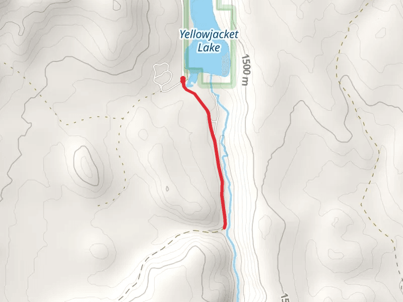 Yellowjacket Creek Out and Back