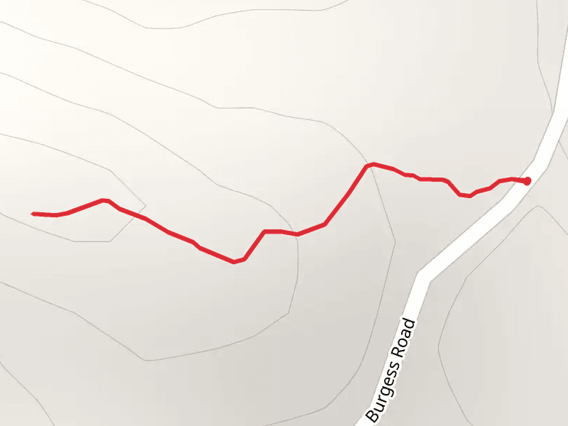 Burgess Mountain Trail