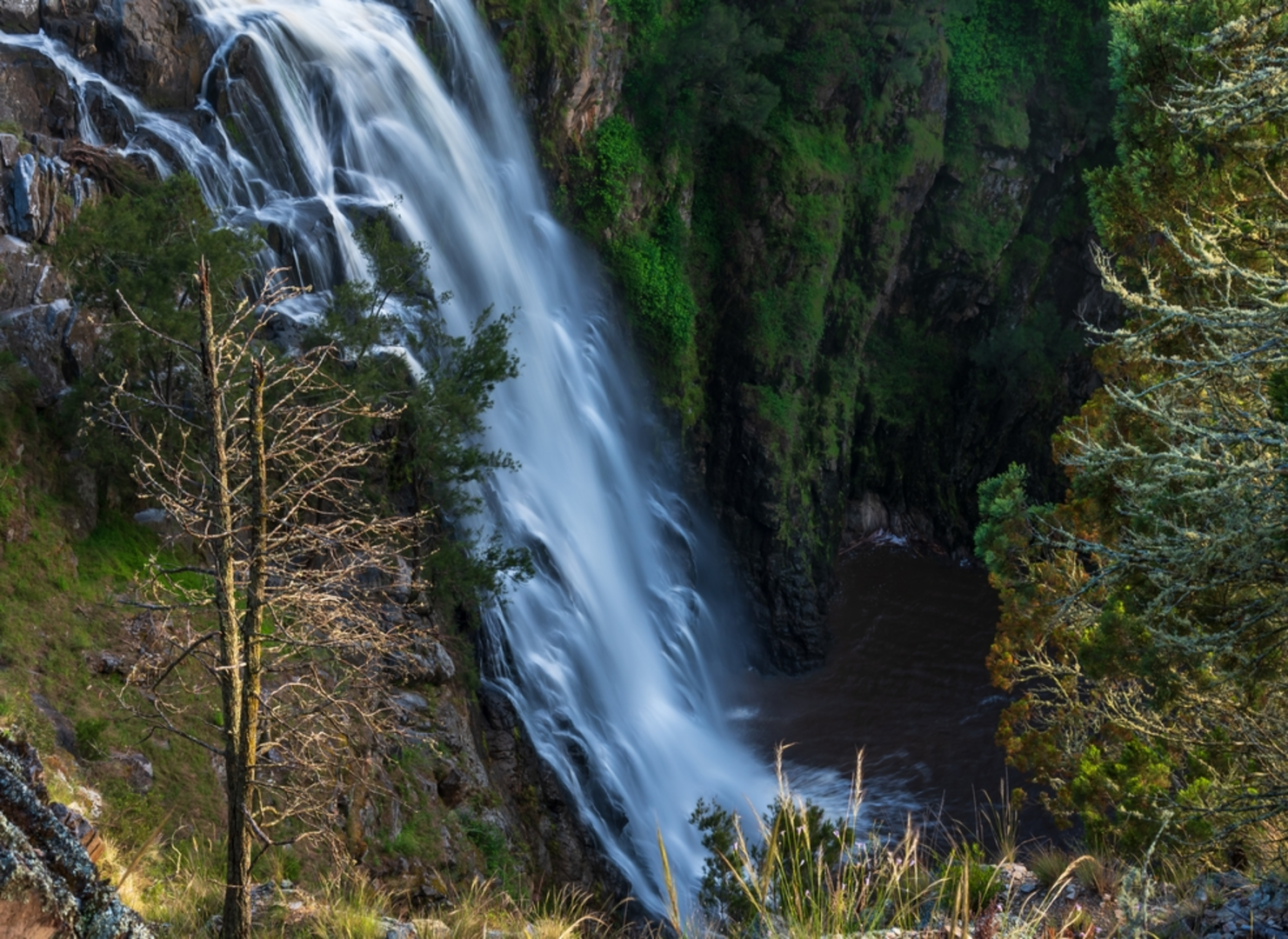 An image depicting the trail Grove Creek Falls Track and its surrounding area.
