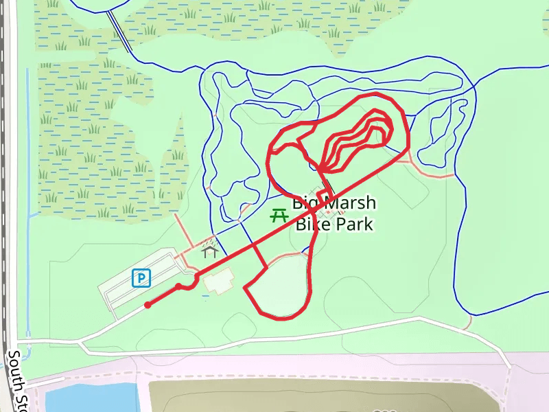 Big Marsh Park Loop