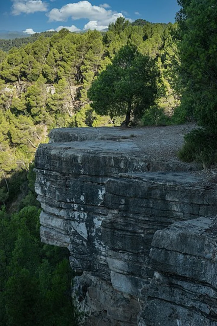 An image depicting the trail Sandero of the Gavarra PR C 136 and its surrounding area.