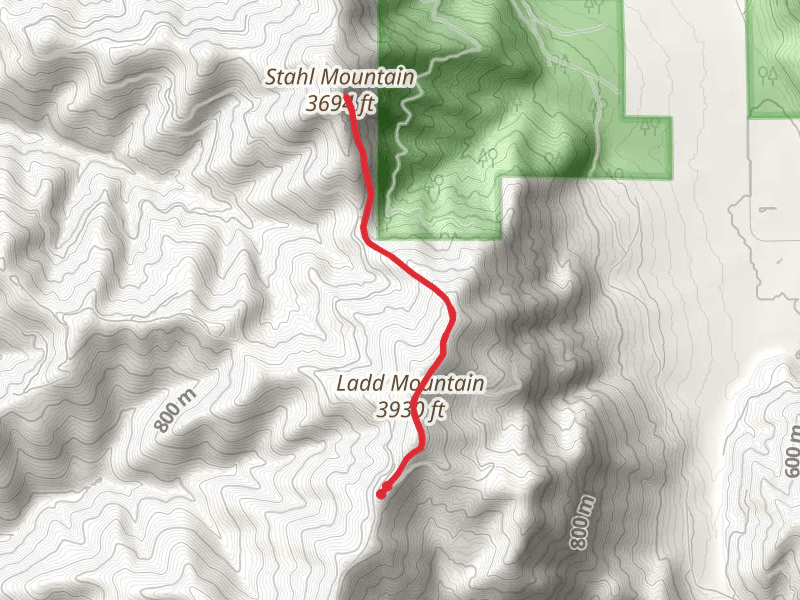 Stahl Mountain Trail