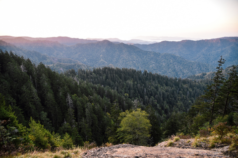 Trillium Gap to Mount LeConte Trail