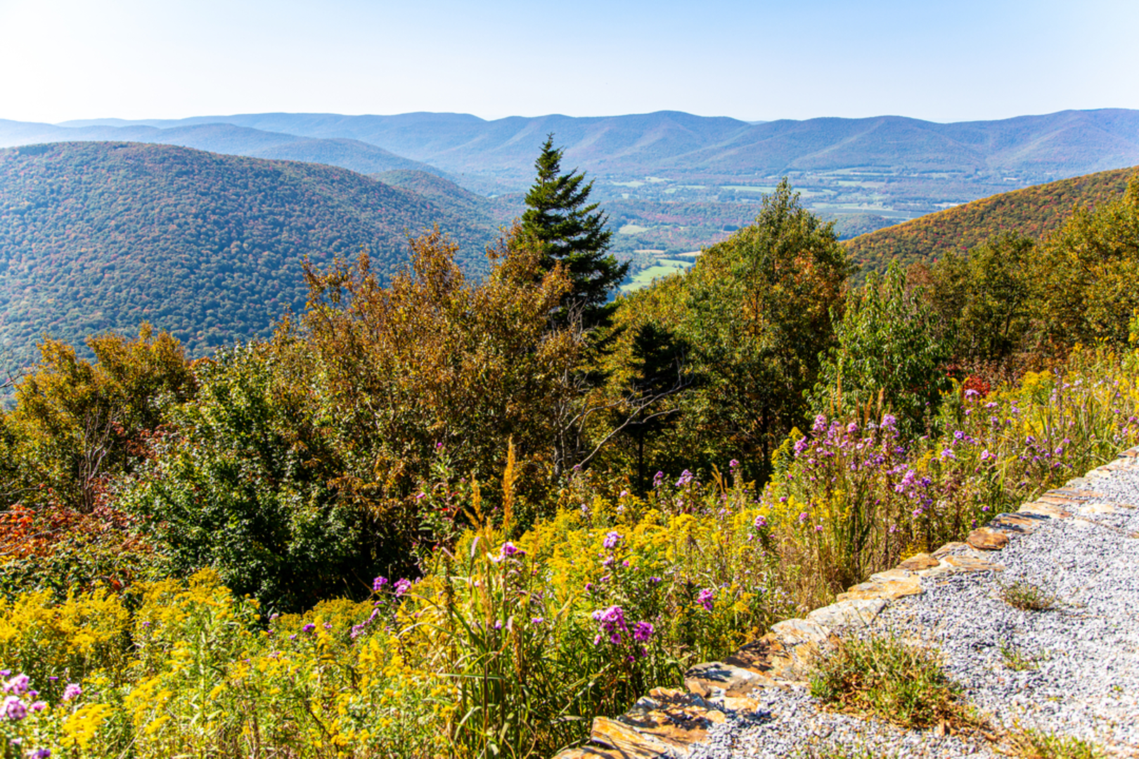 An image depicting the trail Mount Greylock State Reservation Loop and its surrounding area.