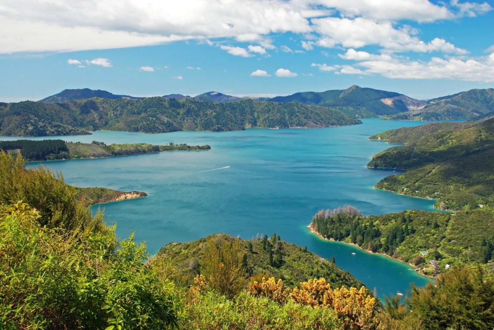 An image depicting the trail Queen Charlotte Track and its surrounding area.