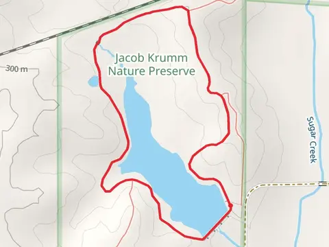 Jacob Krumm Ahrens Access Loop