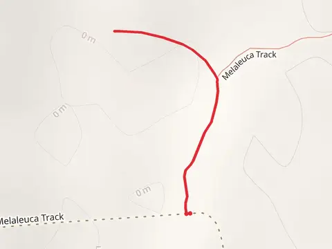 Birdhide Walk