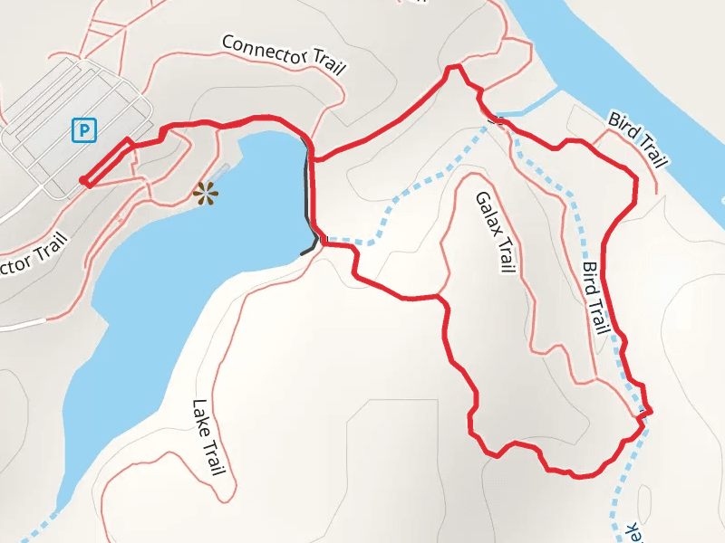 Cliffs of the Neuse State Park - Neuse River Loop