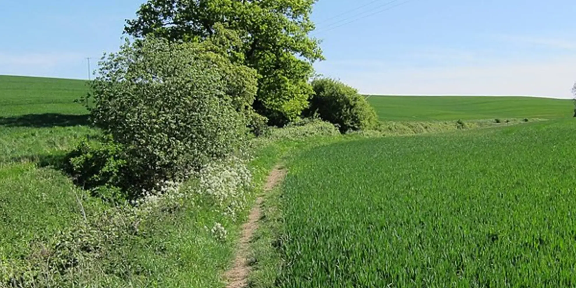 An image depicting the trail Linton - Hadstock and Rivey Hill and its surrounding area.
