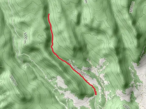 Middle Alder Creek Trail Out and Back