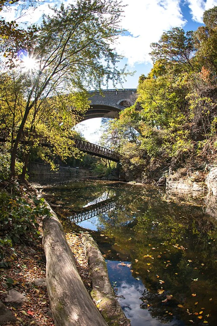 An image depicting the trail Wissahickon Creek via Orange Trail and Forbidden Road and its surrounding area.