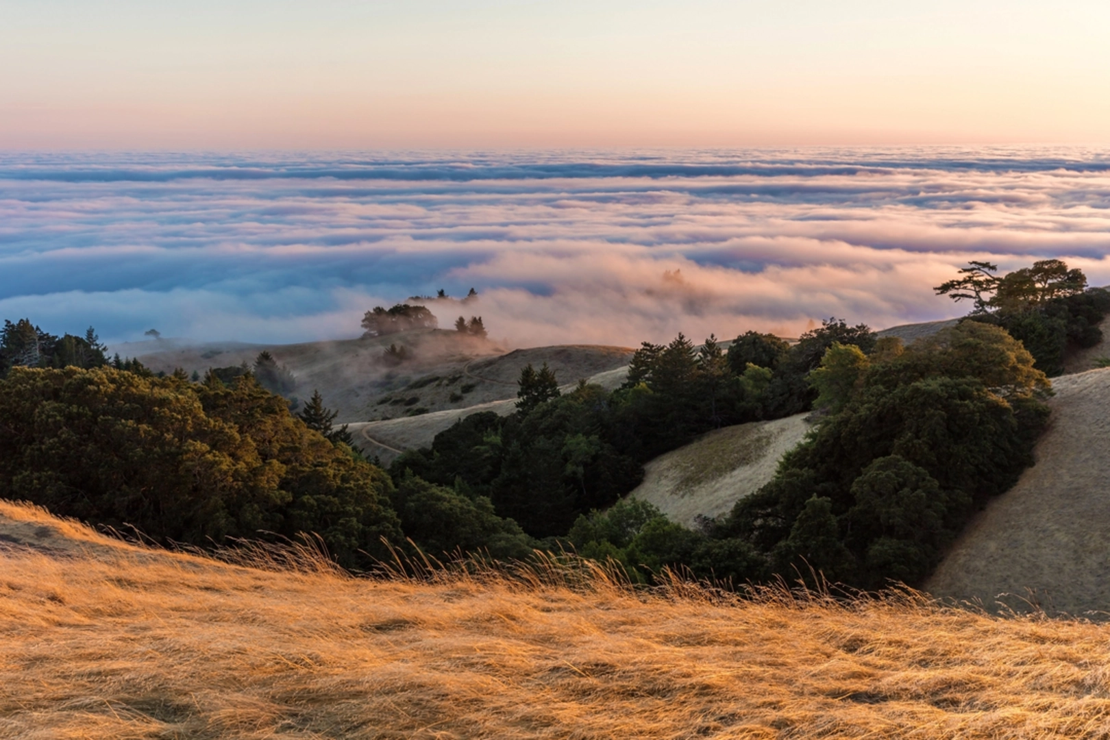 An image depicting the trail Mount Tam East Peak Loop via Troop 80 Trail and Fern Creek Trail and its surrounding area.