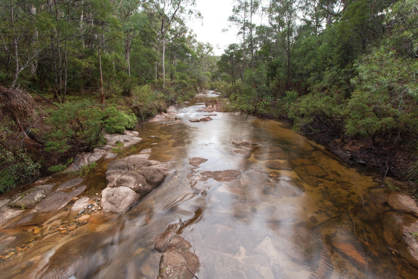 An image depicting the trail Murrumbooee Cascades Track and its surrounding area.