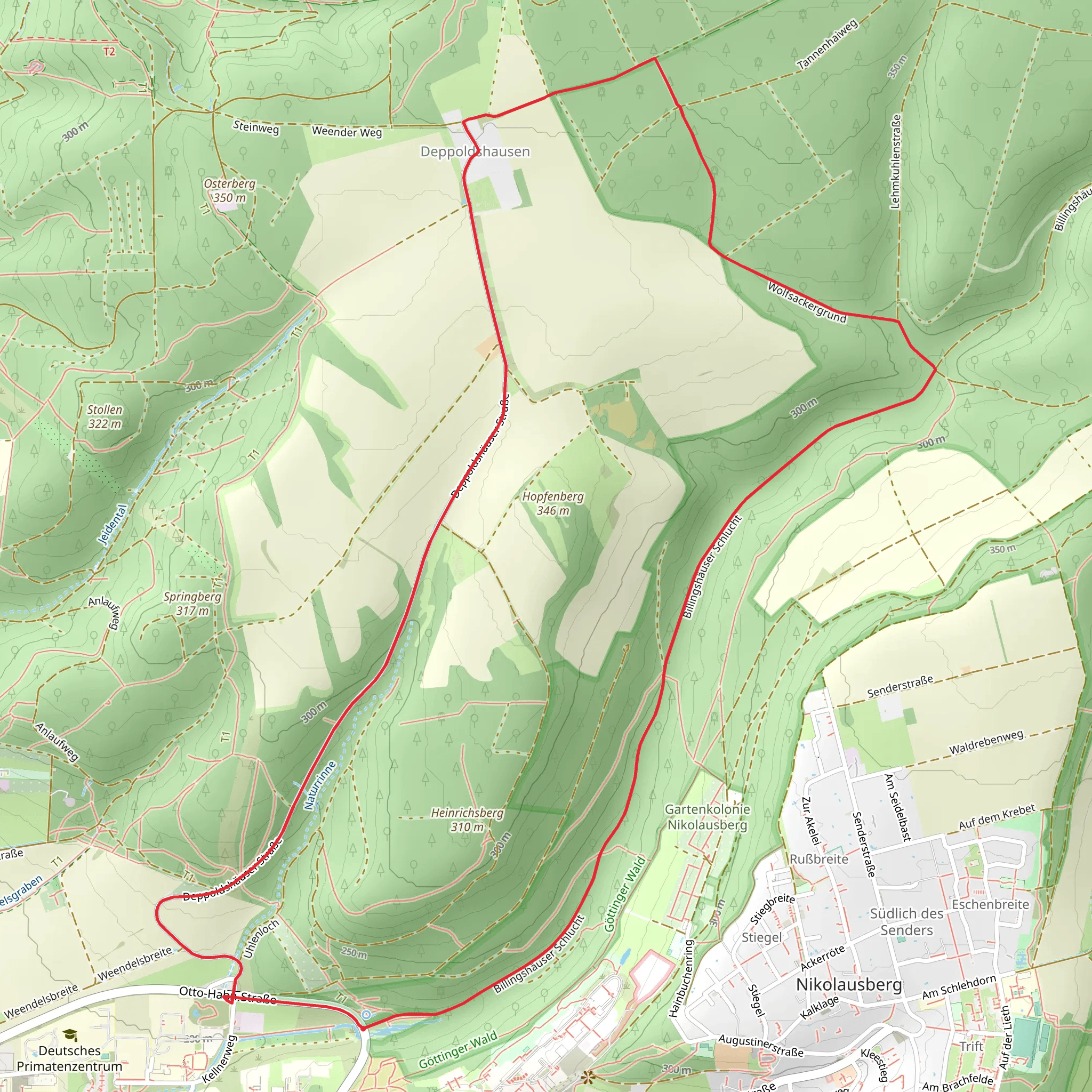 Deppoldshaeuser Strasse and Billingshaeuser Schlucht mobile static map