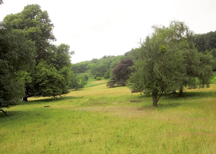 Ashton Court Estate Circular Walk