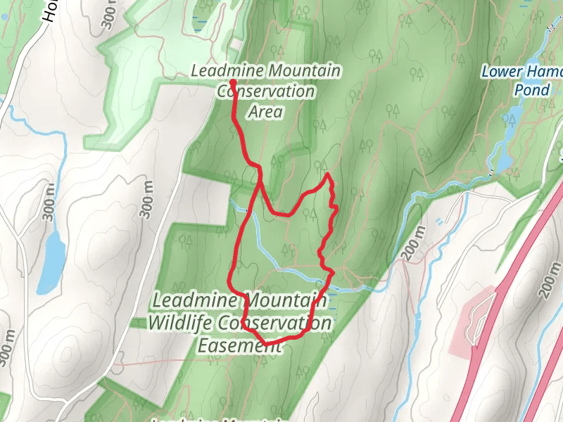 Leadmine Mountain Wildlife Conservation Loop