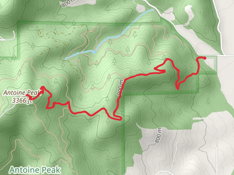 Antoine Peak via Canfield Gulch