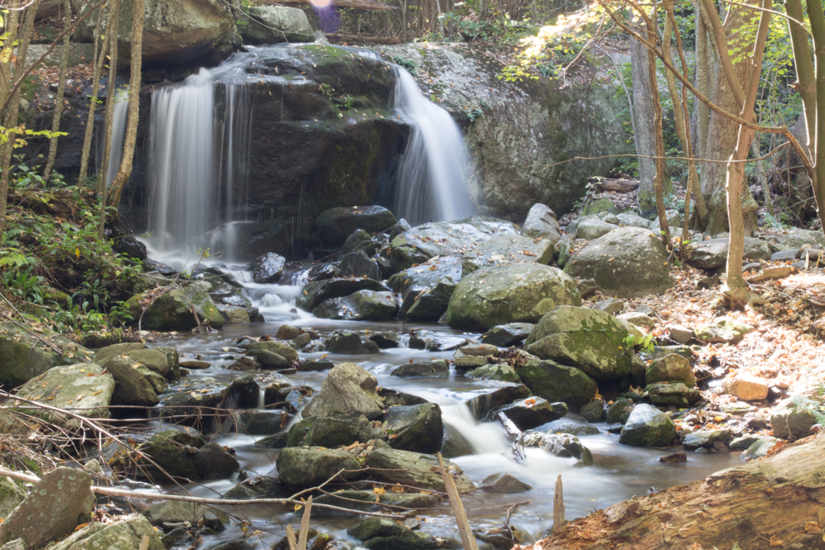 An image depicting the trail Apple Orchard Falls Trail and its surrounding area.