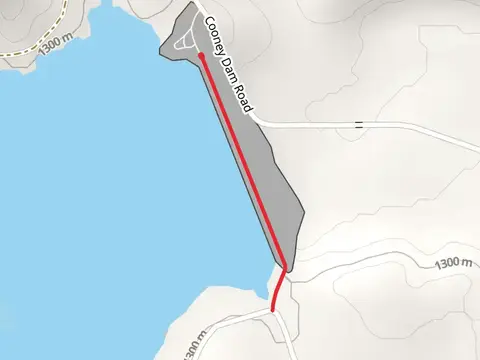 Cooney Dam Road