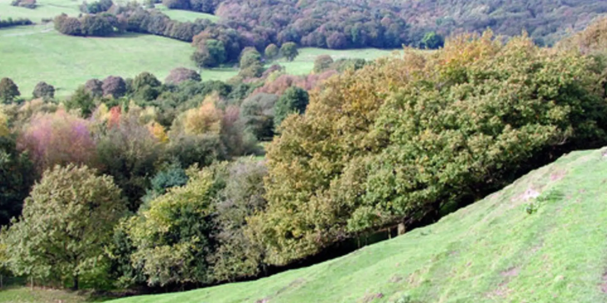 An image depicting the trail Lantern Pike and Cown Edge from Rowarth and its surrounding area.