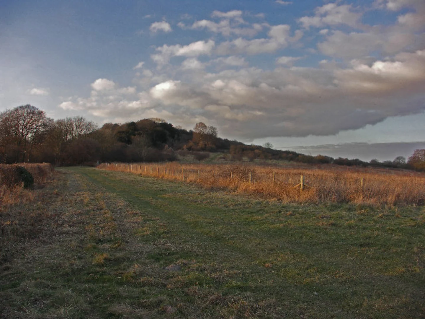 An image depicting the trail Lodge Hill Loop and its surrounding area.