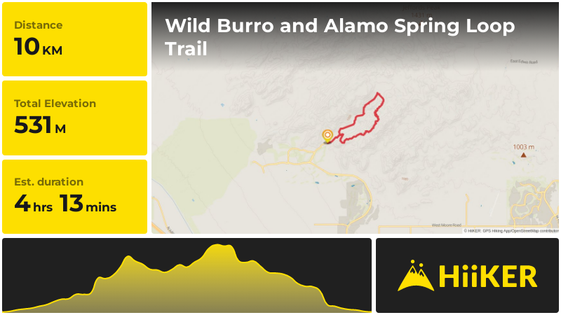 Wild Burro and Alamo Spring Loop Trail | Pima County | Arizona