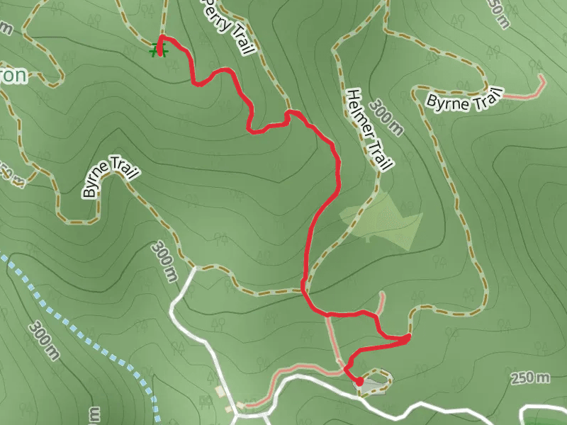 Rattlesnake Trail