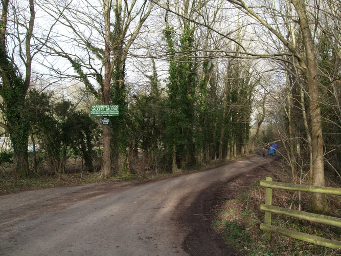 Hare Bushes Loop