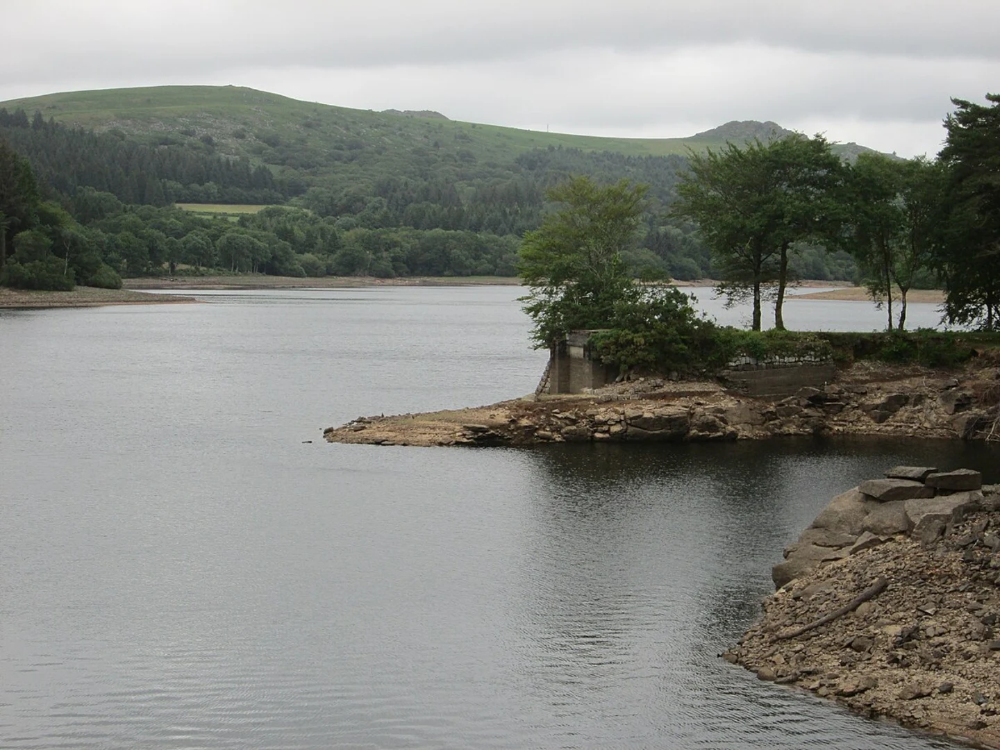 An image depicting the trail Yelwerton Reservoir, Peek Hill Plantation Loop and its surrounding area.