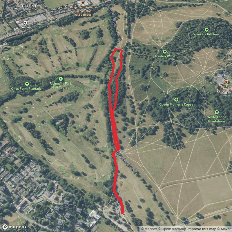 Killcat Wood via Beverley Brook Walk
