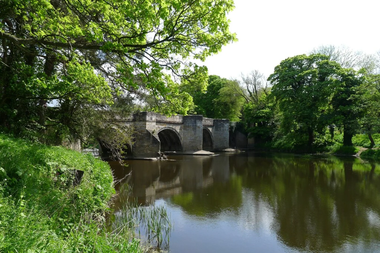 An image depicting the trail Sunderland Bridge and Brancepeth Loop and its surrounding area.