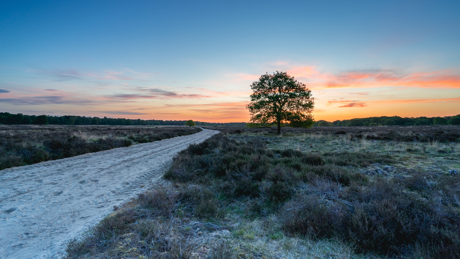 An image depicting the trail Ermelosche Heide and Harderwijkerveld Loop and its surrounding area.